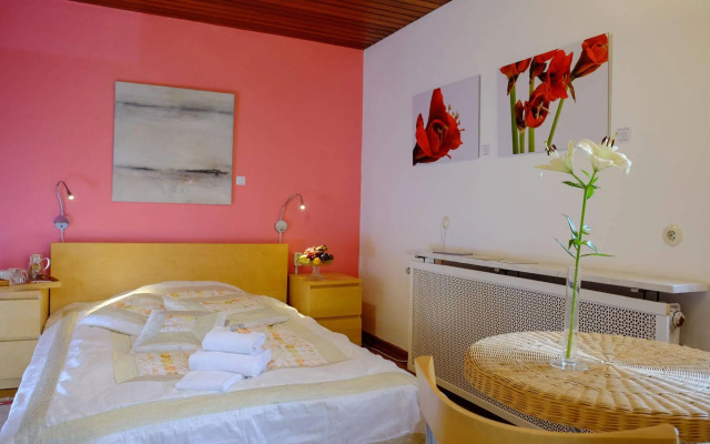 RheinRiver Guesthouse - Direkt am Rhein