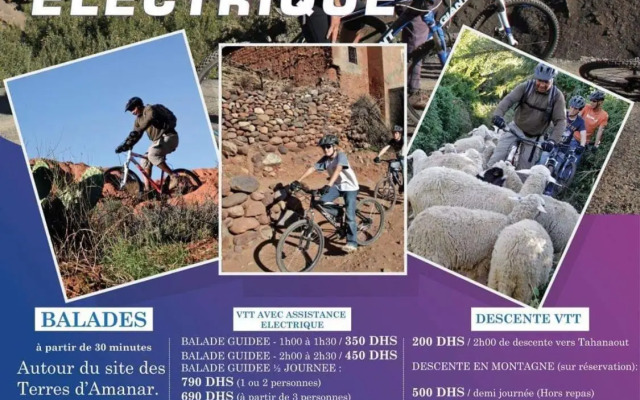 Terre D'amanar