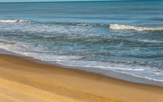 A Shore Cure