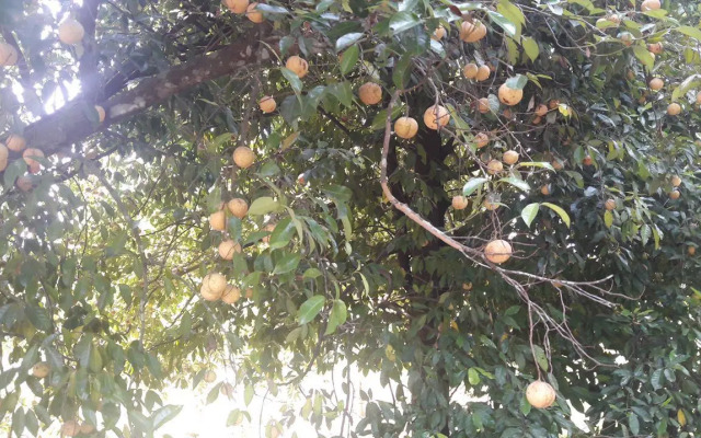 Nadhiyoram River Retreat