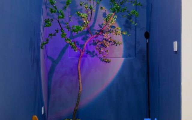 Shallow Environment Design Meisu (Lijiang Ancient City Shop)