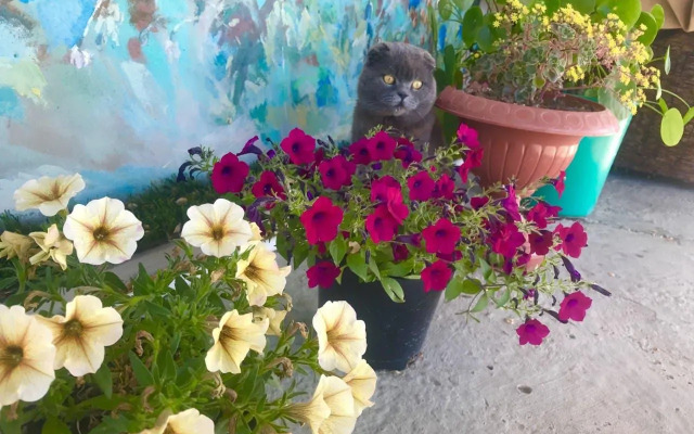 Родное гнездо