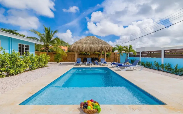 House of Joy Palapa Pool Near Eagle Beach