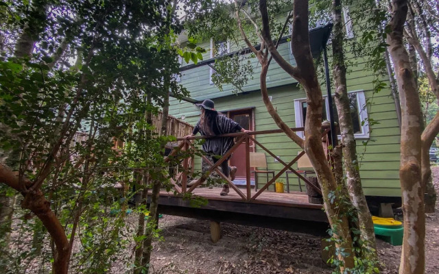 Cabanas Ensenada Bosque Nativo