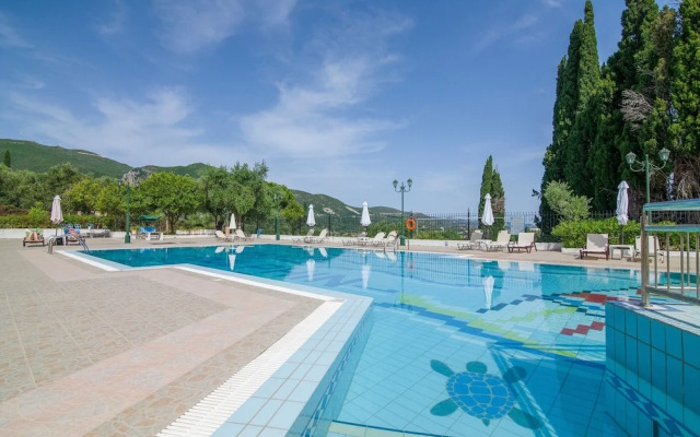 Zante Dolphin I Alykes