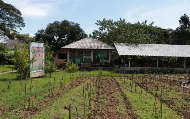 Chiang Dao Story Camp