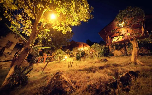 Tree House Bungalows