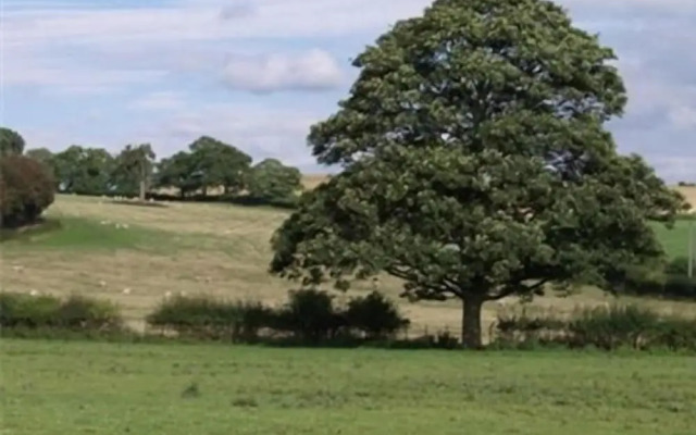 Exmoor Bed & Breakfast