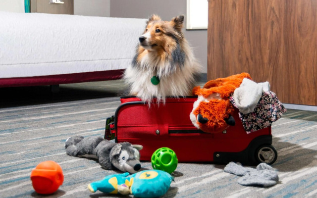 Hampton Inn & Suites Hartford/Farmington