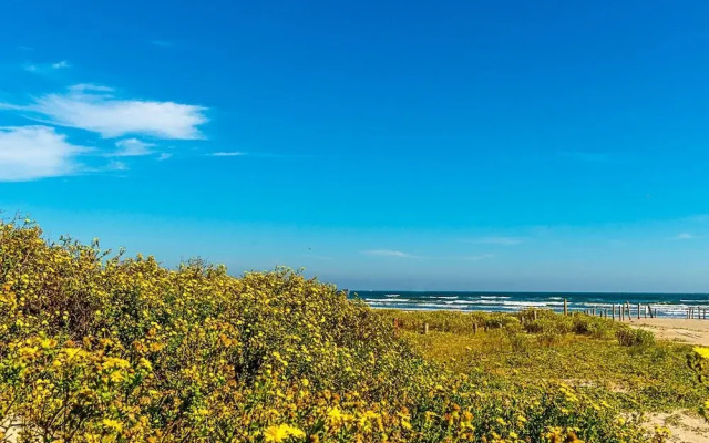 Great Location Go Beyond the Blue