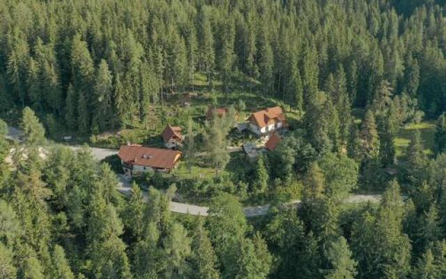 Guesthouse Planinski Dom Majerhold