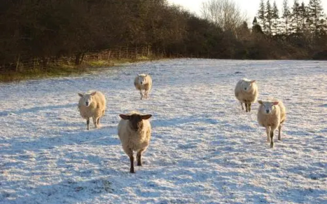 The Farm Snead Bed & Breakfast