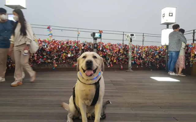 Newly renovated spacious 2 bedroom unit in HBC