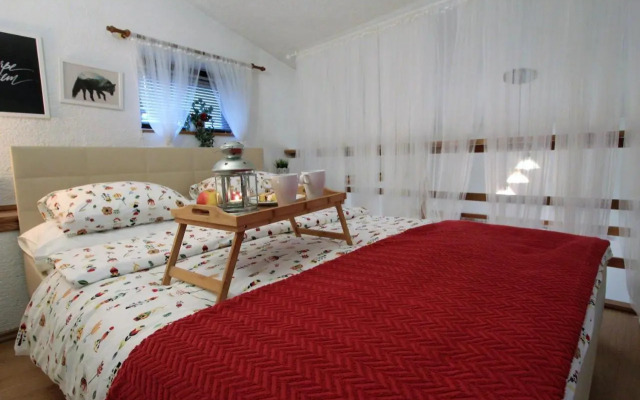 House in center of Gospic with big garden