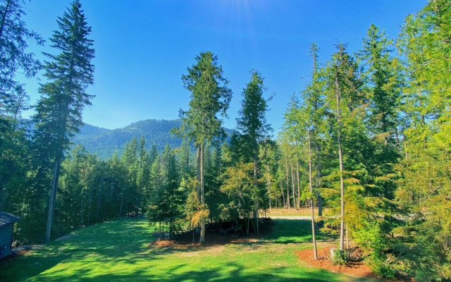 Woodland Cabins