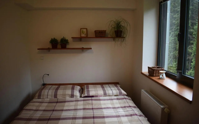Apartment Mumlava falls