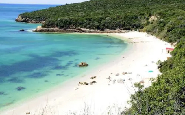 Sado Blue - City & River Flats by Be@home