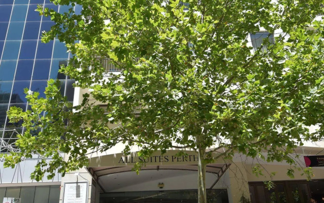 All Suites Perth