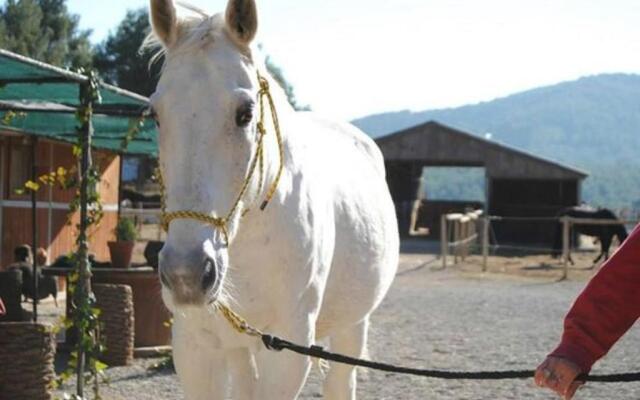 Villa Mar & Natura Sitges