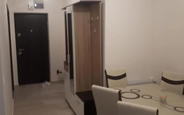 Apartament Cosmin