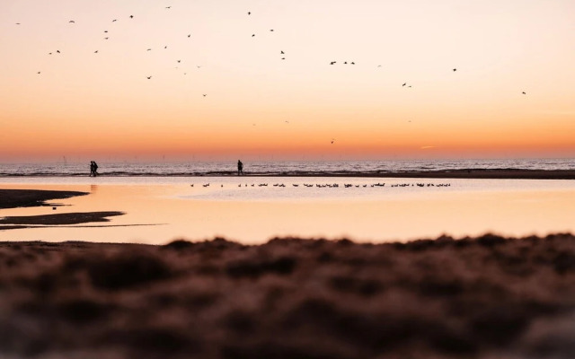 Comfortable Villa With Three Bathrooms, Near Rockanje