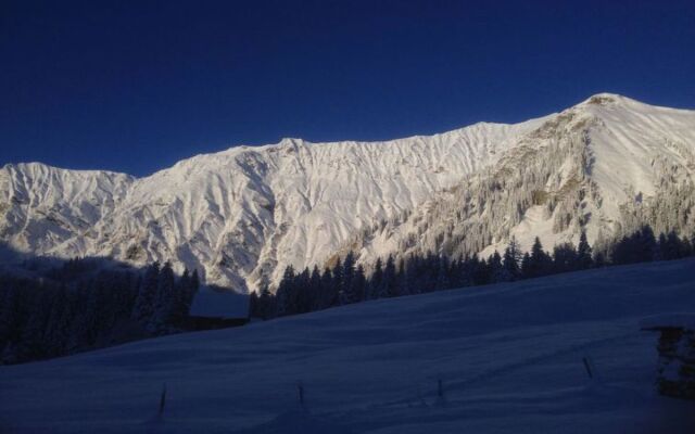 Apartment Abelied Adelboden