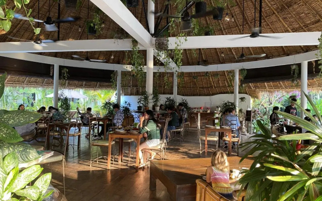 Navutu Dreams Resort & Wellness Retreat