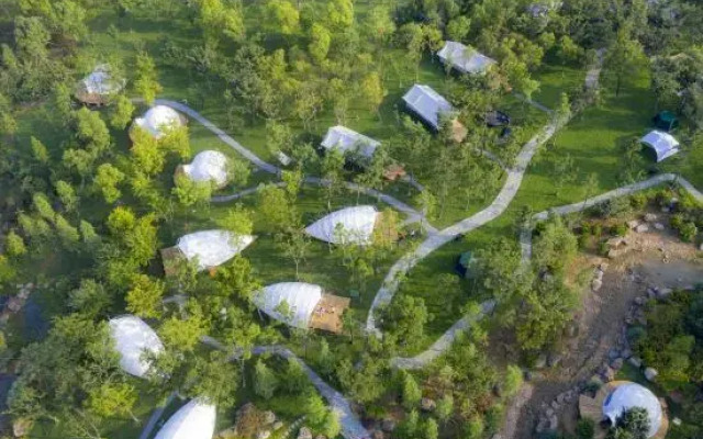 Neoroll Glamping