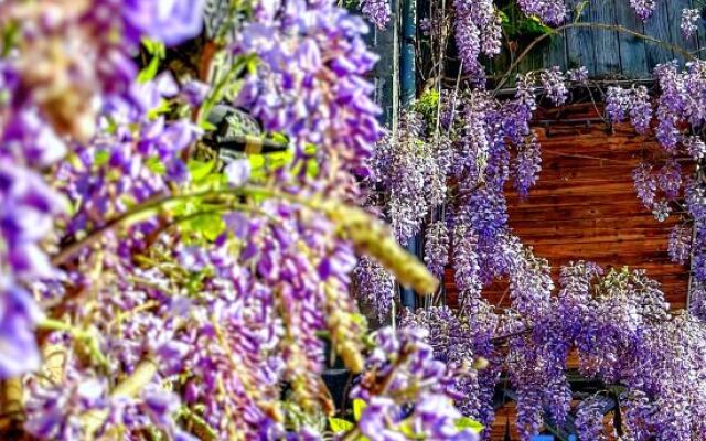 Yaoli Ancient Town Hotel