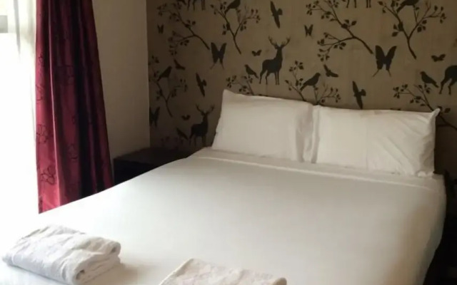 Stag Park Accommodation