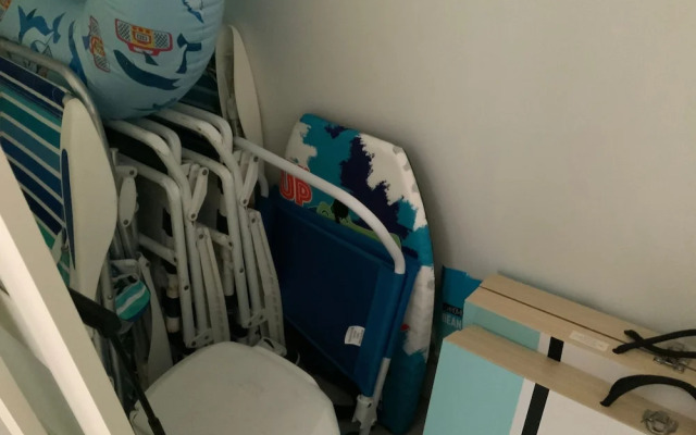 The Mermaid and the Sea Turtle