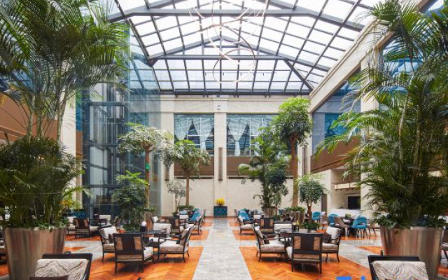 Chengxiang Dongguan Hotel