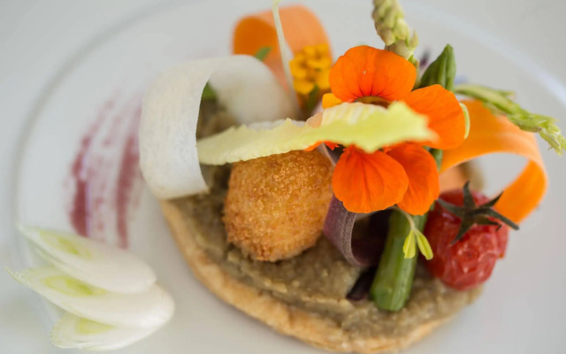 Château les Oliviers de Salettes