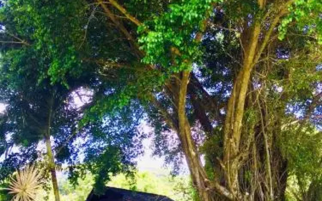 Village Temanoha