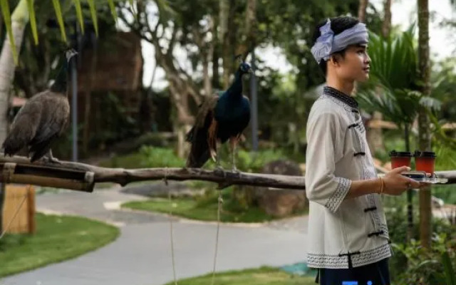 Xishuangbanna Peacock Valley Hot Spring VILLA Resort