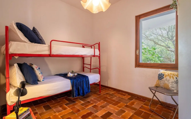 Sardinia Re - Shuluq 6