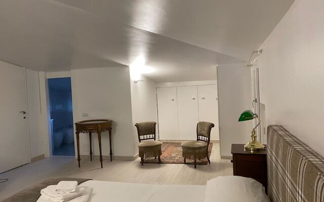 Gatto Bianco Le Mura