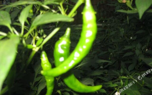 Yangshuo Fengquan Holiday Hotel