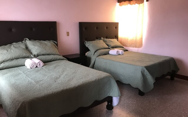 OliLer s House&Garden Zona Centro