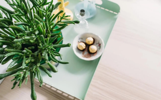 Kranenbergh Boutique Apartments