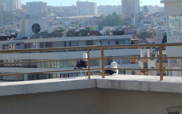 1201 Departamento VS Centro Viña