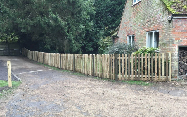 Willow Down