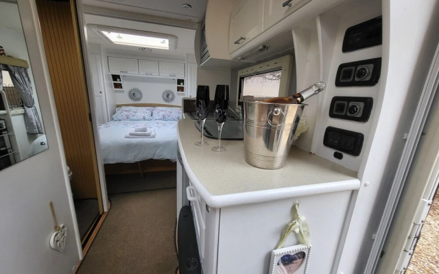 Glamping With Llamas