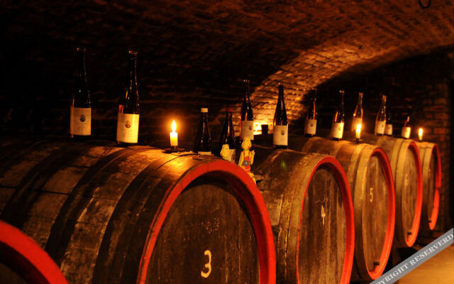 Gasthaus Weingut Stahl
