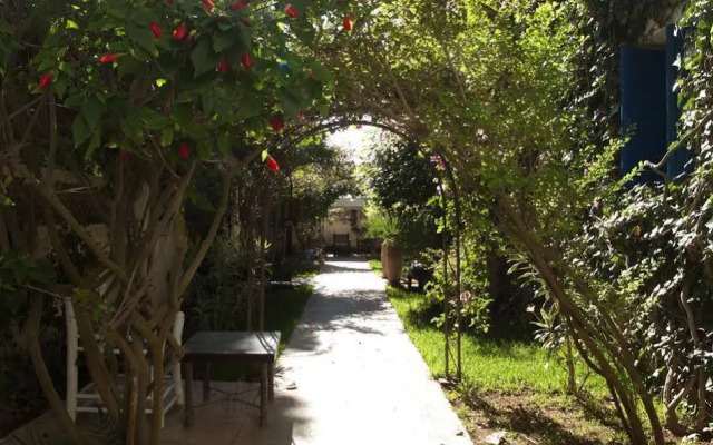 Le vent des Dunes