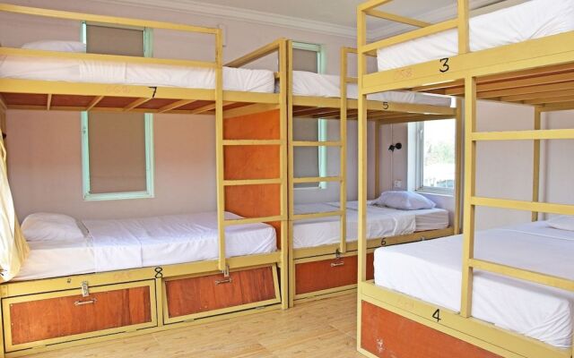Mad Monkey Hostel Kampot