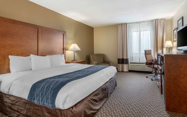 Comfort Inn South