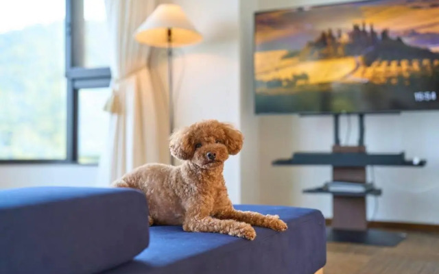 Suite Villa Panora Atami Sakurazawa