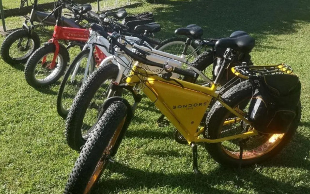 Dragonfly Camera Bianca