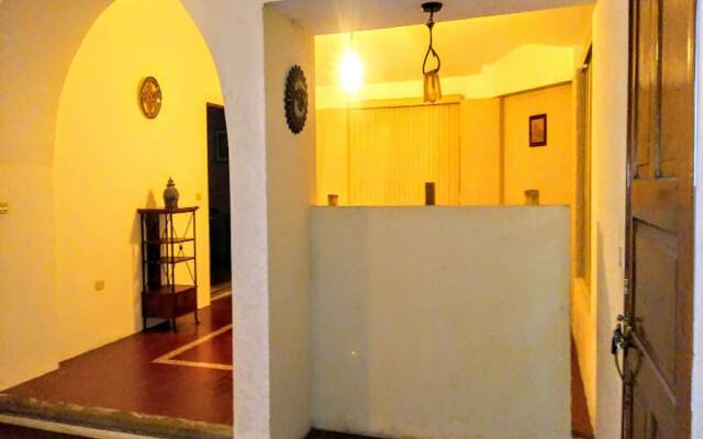 House of Ficus Banderilla,veracruz-mexico